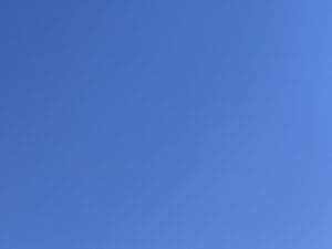 Toby Regbo: 2020 vs 2020. Oggi: cielo azzurro (Lombardia)